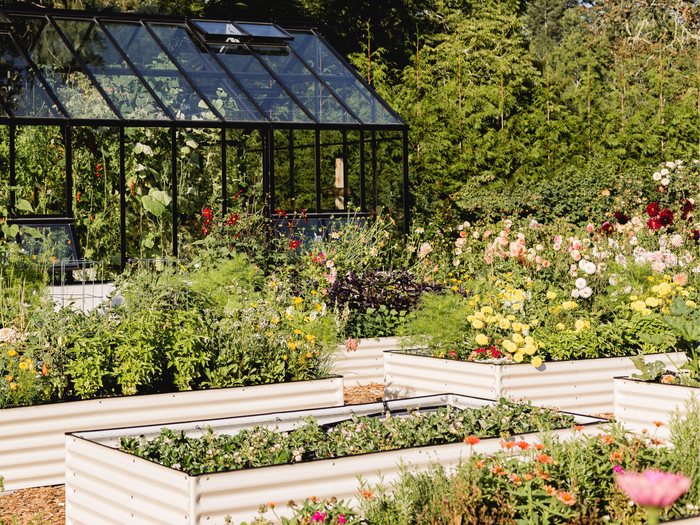 17 inch tall all-in-one raised garden bundles with a greenhouse and various plants and flowers