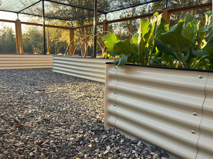 Corrugated metal garden bed with plants in a gravel area