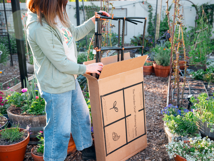 Woman unpacking a Garden Grid Watering System from a cardboard box in a garden