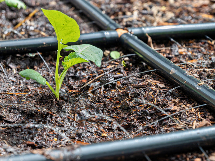 Garden Grid Watering System watering the base of a small plant growing in wet soil