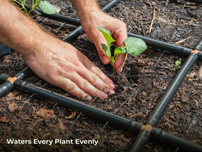 Hands planting a small green seedling into dark soil, with a black Garden Grid Watering System around it