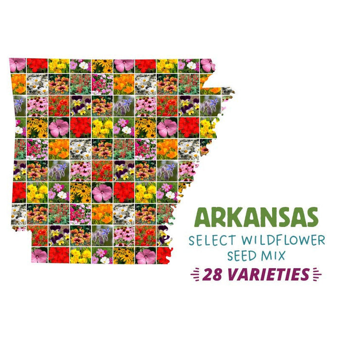 Arkansas Select Wildflower Seed Mix|Arkansas Select Wildflower Seed Mix