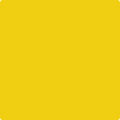 Shop the paint color 2023-20 Baby Chick by Benjamin Moore at Anderson Paint Company in Ann Arbor, Michigan.