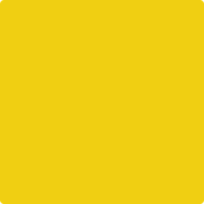 Shop the paint color 2023-20 Baby Chick by Benjamin Moore at Anderson Paint Company in Ann Arbor, Michigan.