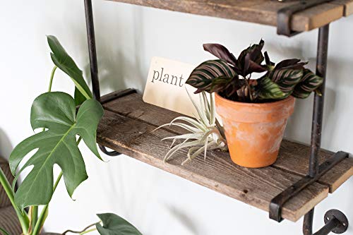 BarnwoodUSA Rustic Wooden Shelf with 2 Planks, Farmhouse Wall Ledge