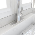 BOCCHI 2180 0004 Stainless Steel Traditional Kitchen Faucet Deck Plate Oval