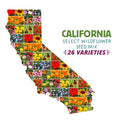 California Select Wildflower Seed Mix|California Select Wildflower Seed Mix