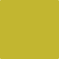 Shop the paint color 2024-10 Chartreuse by Benjamin Moore at Anderson Paint Company in Ann Arbor, Michigan.