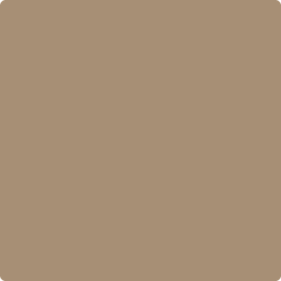 Shop the paint color 1034 Clay by Benjamin Moore at Anderson Paint Company in Ann Arbor, Michigan.