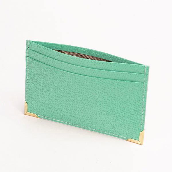 Color Chart Card Case