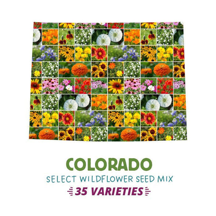 Colorado Select Wildflower Seed Mix|Colorado Select Wildflower Seed Mix