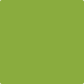 Shop the paint color 2028-20 Douglas Fir by Benjamin Moore at Anderson Paint Company in Ann Arbor, Michigan.