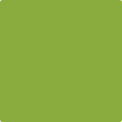 Shop the paint color 2028-20 Douglas Fir by Benjamin Moore at Anderson Paint Company in Ann Arbor, Michigan.