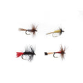 Dry Fly Assortment II