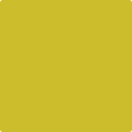 Shop the paint color 2024-20 Evergreen by Benjamin Moore at Anderson Paint Company in Ann Arbor, Michigan.