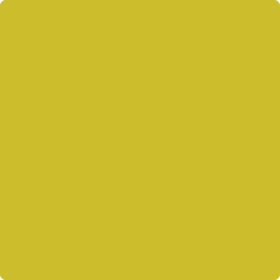 Shop the paint color 2024-20 Evergreen by Benjamin Moore at Anderson Paint Company in Ann Arbor, Michigan.