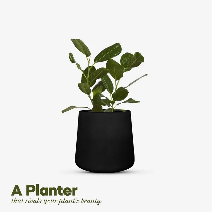Close-up of the battery-powered self-watering system in the Hongloss Rora Planter during load-shedding