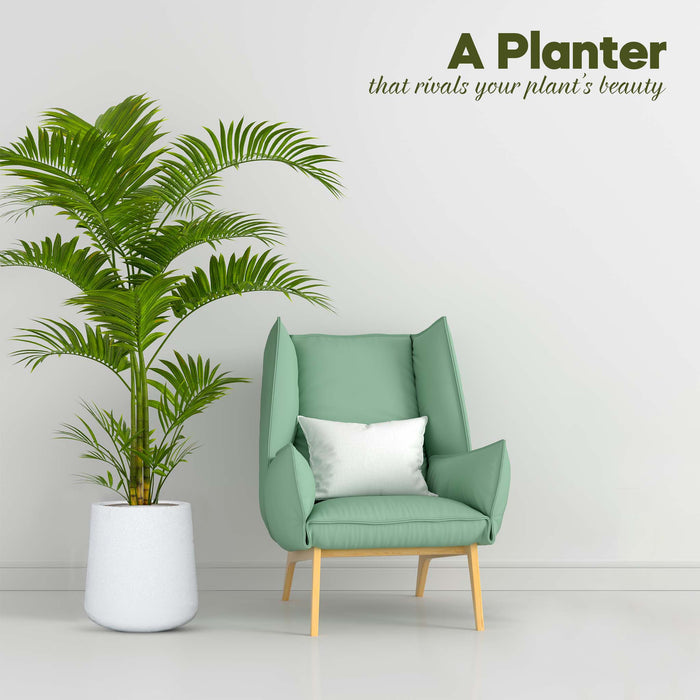 Cat-safe Hongloss Rora Planter with cat grass in a pet-friendly Islamabad home