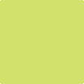 Shop the paint color 2026-40 Green Apple by Benjamin Moore at Anderson Paint Company in Ann Arbor, Michigan.