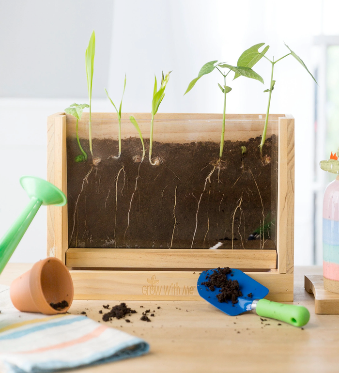 Growing Garden Root Viewer, RSVP Style - RSVP Style