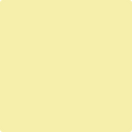 Shop the paint color 2024-50 Jasper Yellow by Benjamin Moore at Anderson Paint Company in Ann Arbor, Michigan.