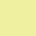 Shop the paint color 2025-50 Lemon Freeze by Benjamin Moore at Anderson Paint Company in Ann Arbor, Michigan.