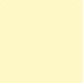 Shop the paint color 2022-60 Light Yellow by Benjamin Moore at Anderson Paint Company in Ann Arbor, Michigan.