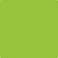 Shop the paint color 2026-10 Lime Green by Benjamin Moore at Anderson Paint Company in Ann Arbor, Michigan.