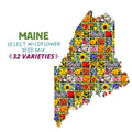 Maine Select Wildflower Seed Mix|Maine Select Wildflower Seed Mix