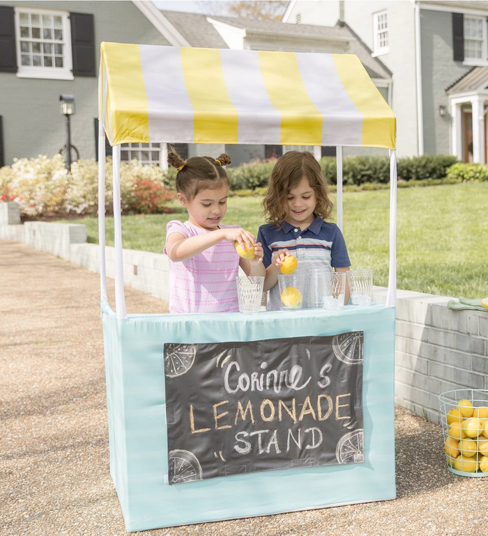 Market Lemonade Play Set, RSVP Style - RSVP Style