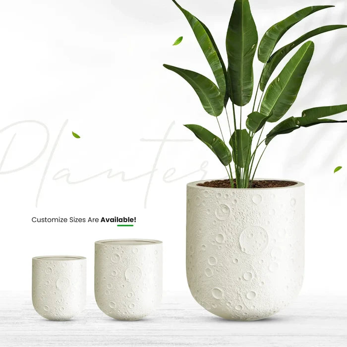 MoonGlow - (3 Sizes)