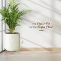 MoonGlow - (3 Sizes)