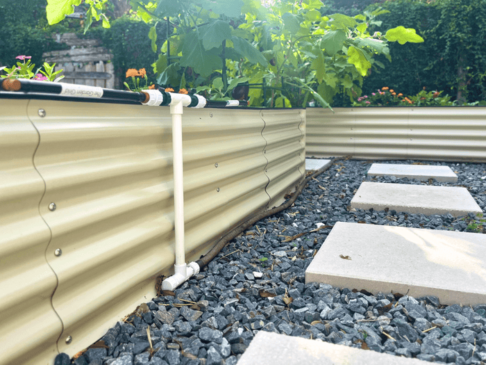 Raised garden beds with irrigation system and stepping stones on a gravel path