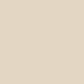 Shop the paint color 1037 Muslin by Benjamin Moore at Anderson Paint Company in Ann Arbor, Michigan.