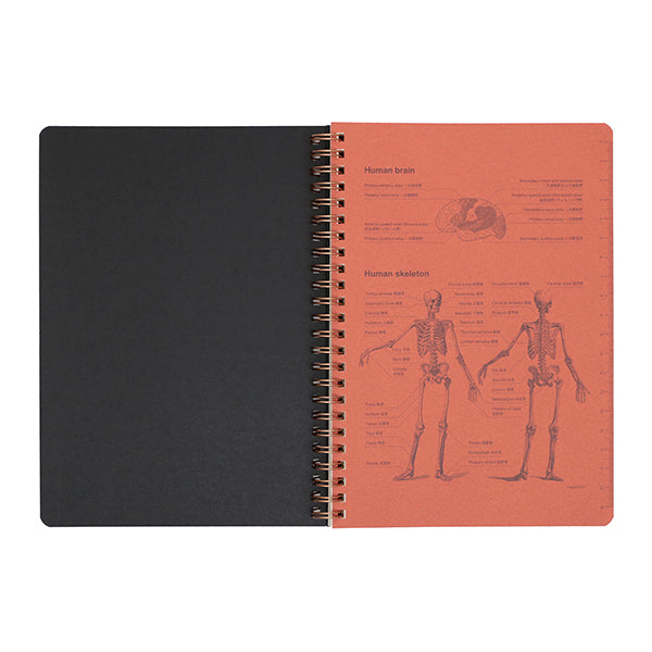 ROMEO W-Ring Notebook, A5, Ruled