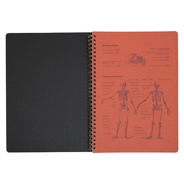 ROMEO W-Ring Notebook, B5, Ruled