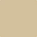 Shop the paint color 1046 Sandy Brown by Benjamin Moore at Anderson Paint Company in Ann Arbor, Michigan.