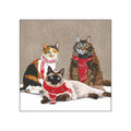 Scarf Cats • Beverage Napkins