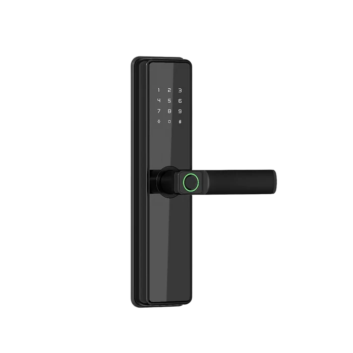 Smart Deluxe Door Lock