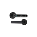 Smart Handle Door Lock