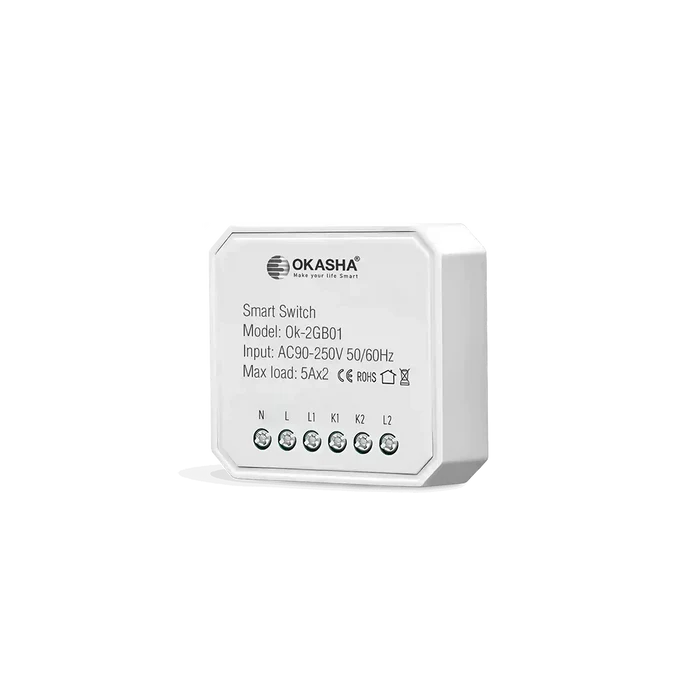 Smart In Wall Two Gang Switch