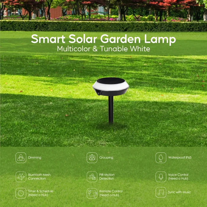 Buy Smart Solar Garden Light