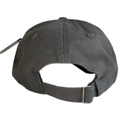 Stillwater Fly Shop Dad Hat Fish Logo