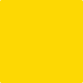 Shop the paint color 2022-20 Sun Kissed Yellow by Benjamin Moore at Anderson Paint Company in Ann Arbor, Michigan.