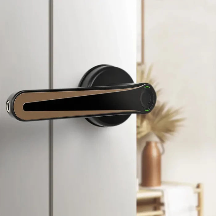Okashs Smart Smart fingerprint door lock handle installed on modern wooden door with biometric sensor for secure home access in Pakistan
