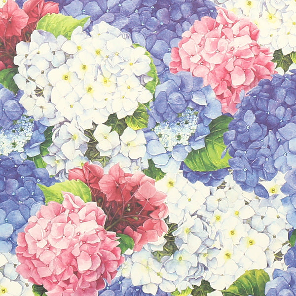 Tassotti Wrapping Paper, 0221 (Hydrangea)