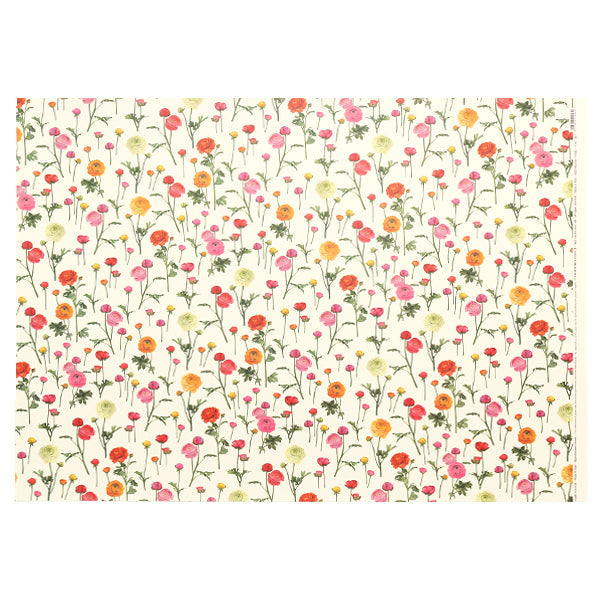 Tassotti Wrapping Paper, 1443 (Ranunculus)