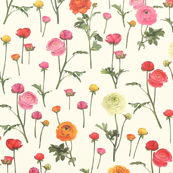 Tassotti Wrapping Paper, 1443 (Ranunculus)