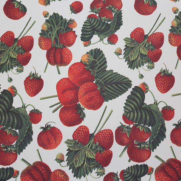 Tassotti Wrapping Paper, 1745 (Strawberry)