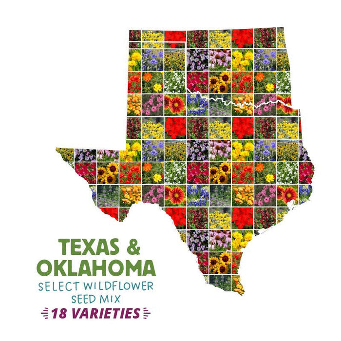 Texas & Oklahoma Select Wildflower Seed Mix|Texas & Oklahoma Select Wildflower Seed Mix